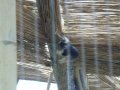 IMGP3693.JPG